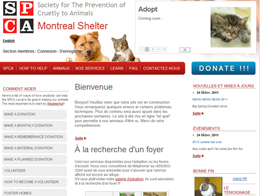  pet-shelter image 